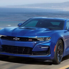 Shadow Blackout Coating